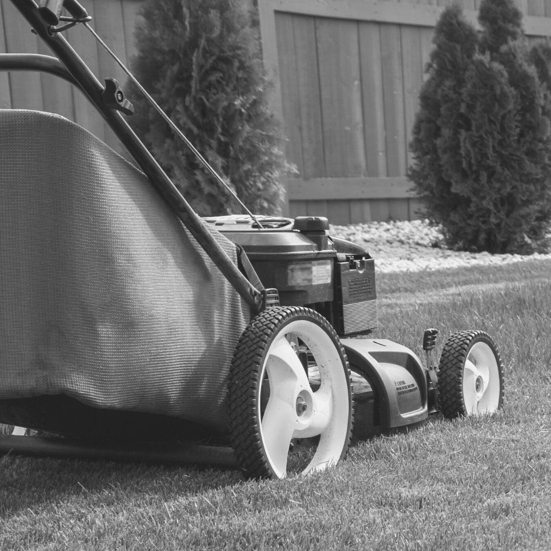 صورة لقسم Gardening